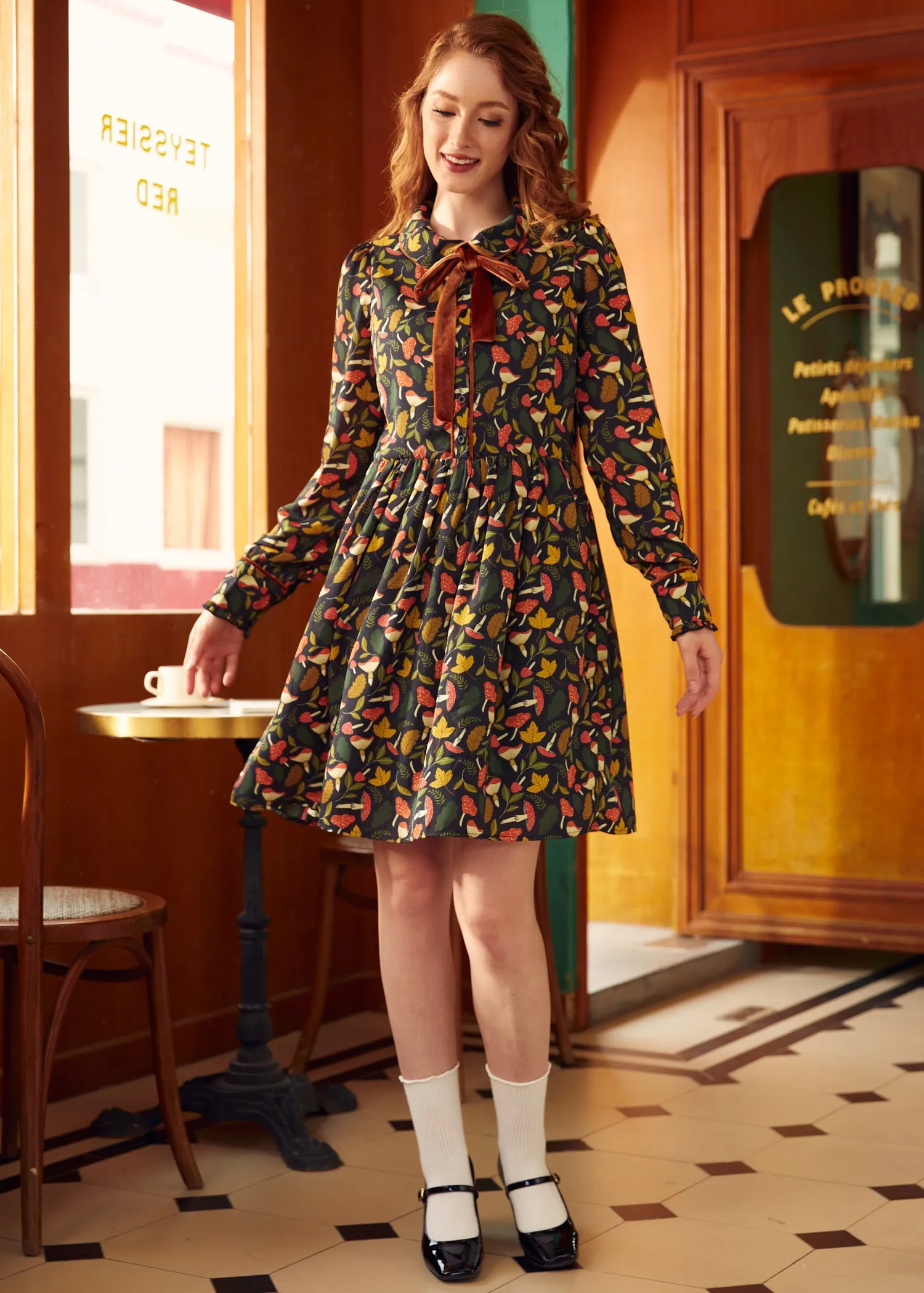 Afternoon Tea Time  Drop Waist Shirt Dress