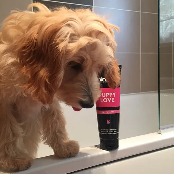 Animology Puppy Love Puppy Shampoo 250ml