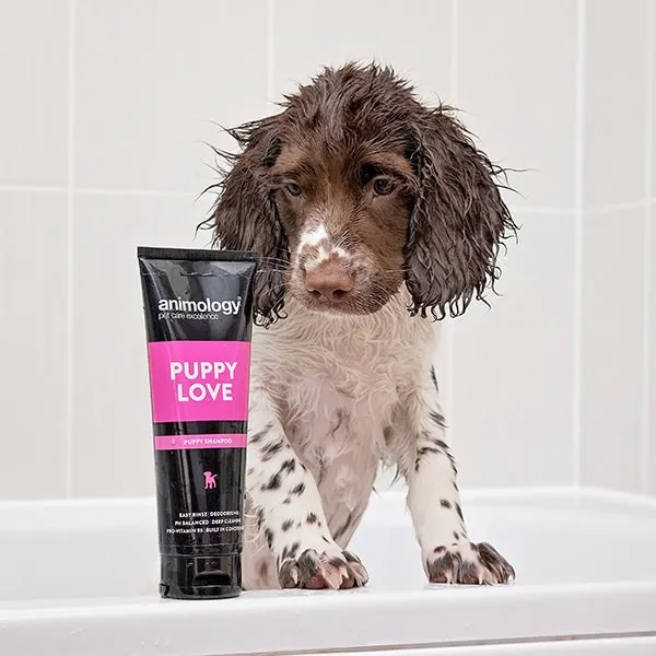 Animology Puppy Love Puppy Shampoo 250ml