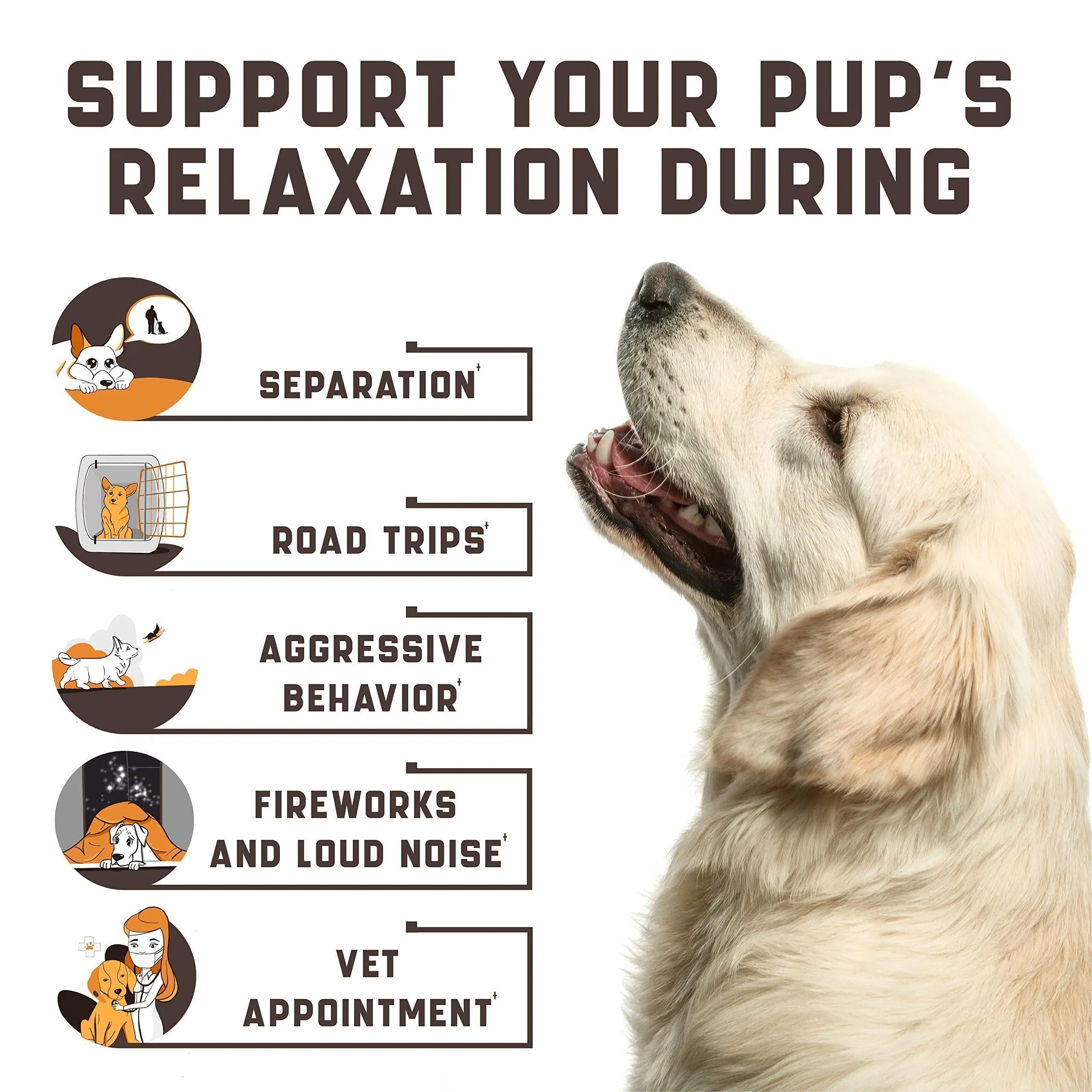 Calming Chews for Dogs with Hemp Oil   Aid During Thunderstorms Separation Car