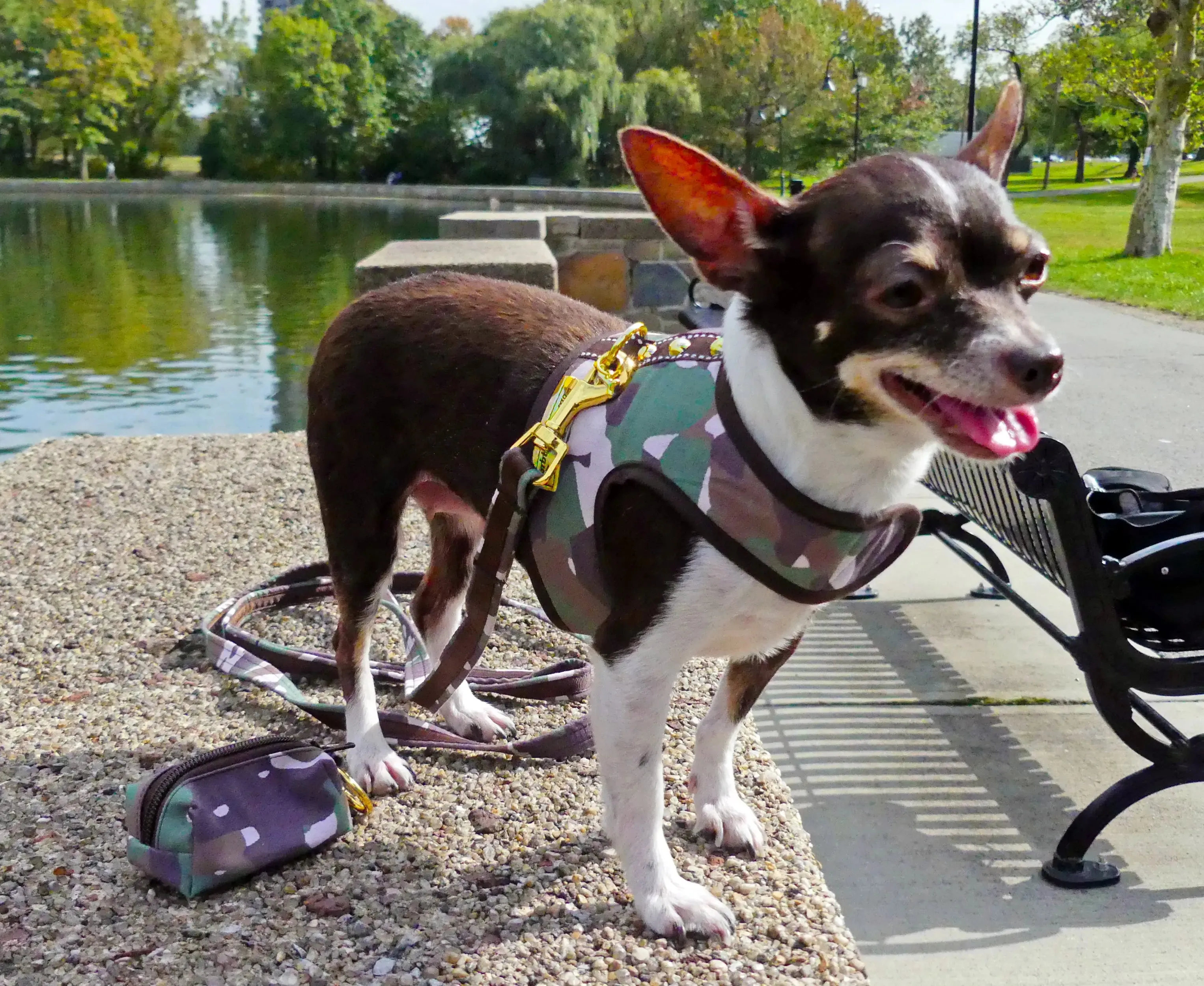 Camo - Camo Floral  XXXS Teacup Dog Harness Vest 2 LBS to 8 LBS