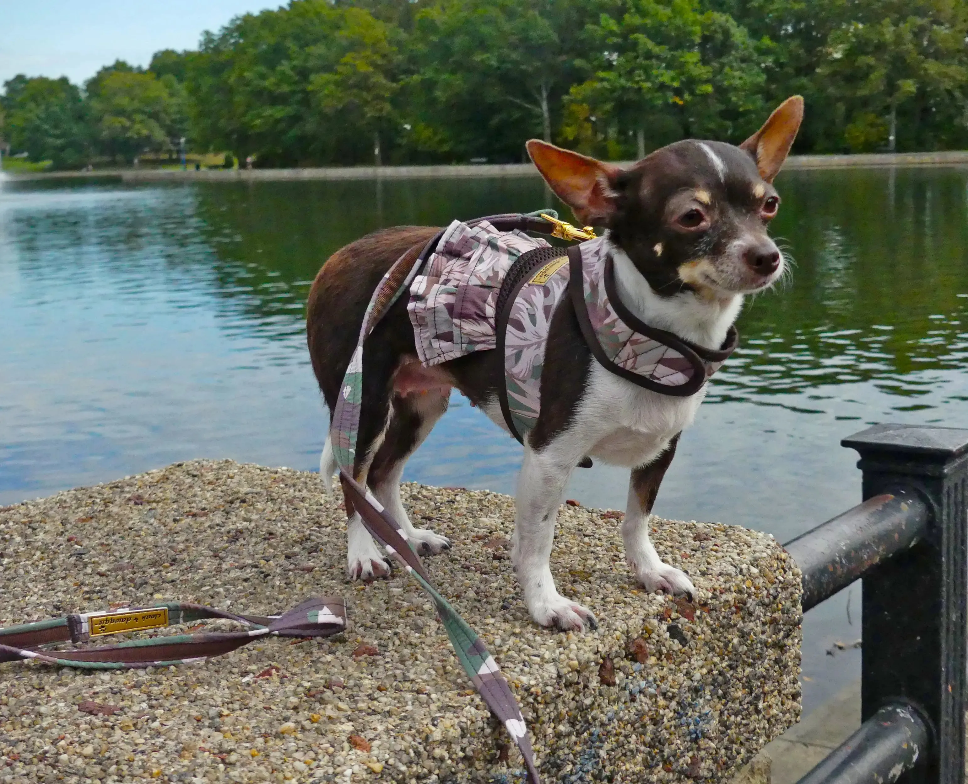 Camo - Camo Floral  XXXS Teacup Dog Harness Vest 2 LBS to 8 LBS