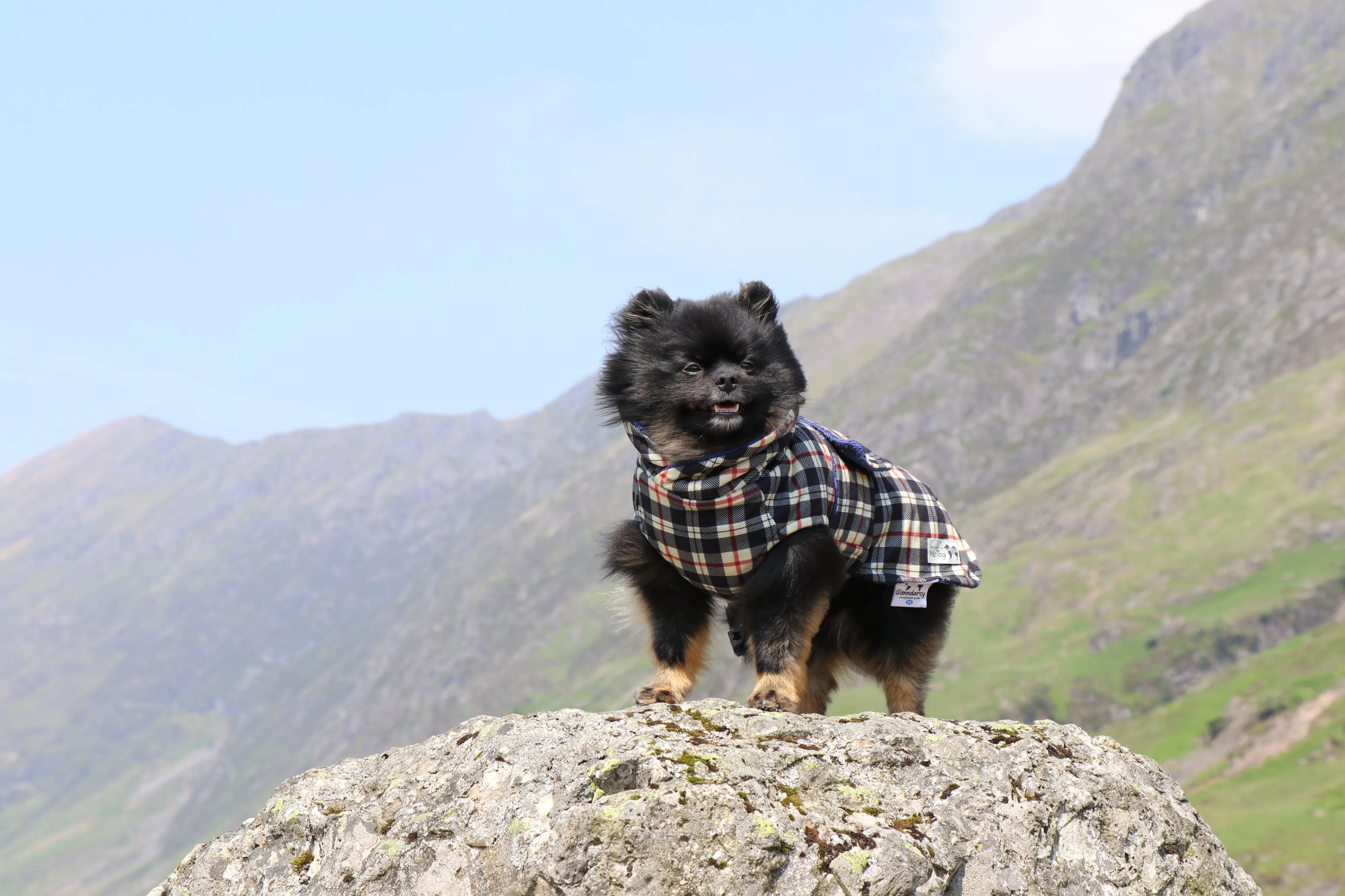 Harris Tartan McTog Drying Coat