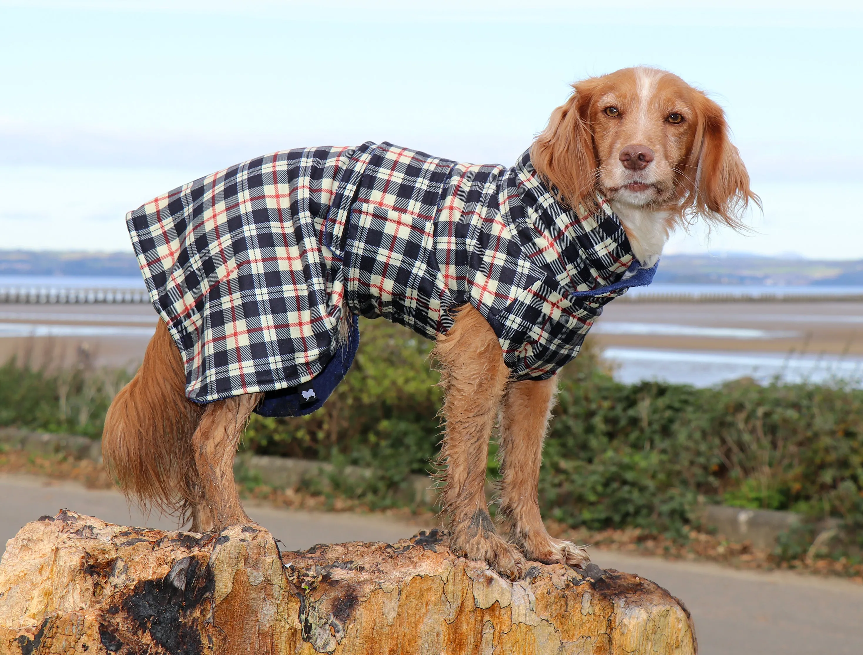 Harris Tartan McTog Drying Coat