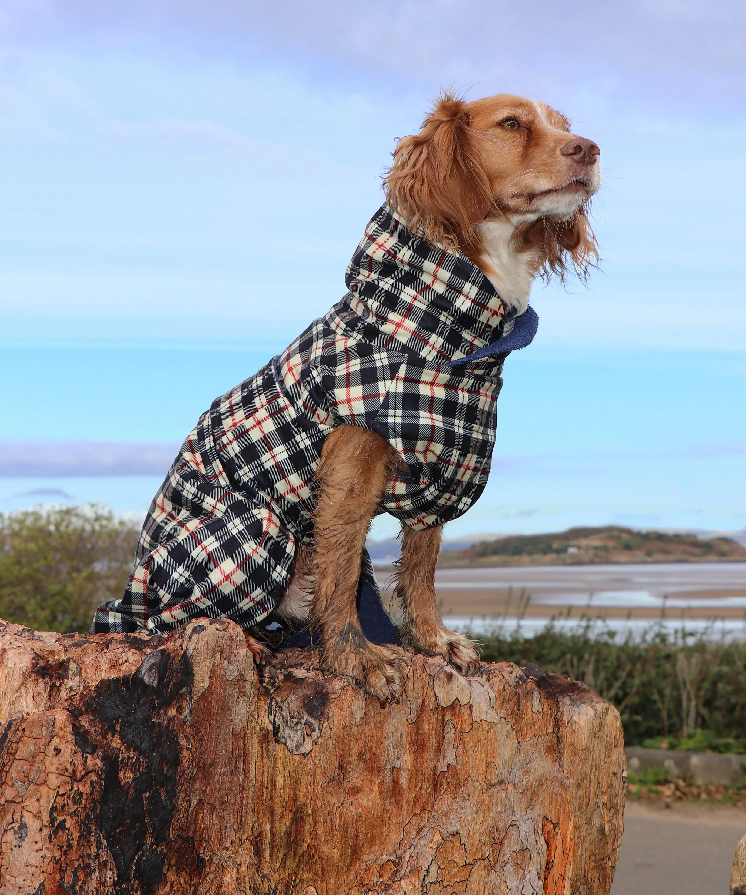 Harris Tartan McTog Drying Coat