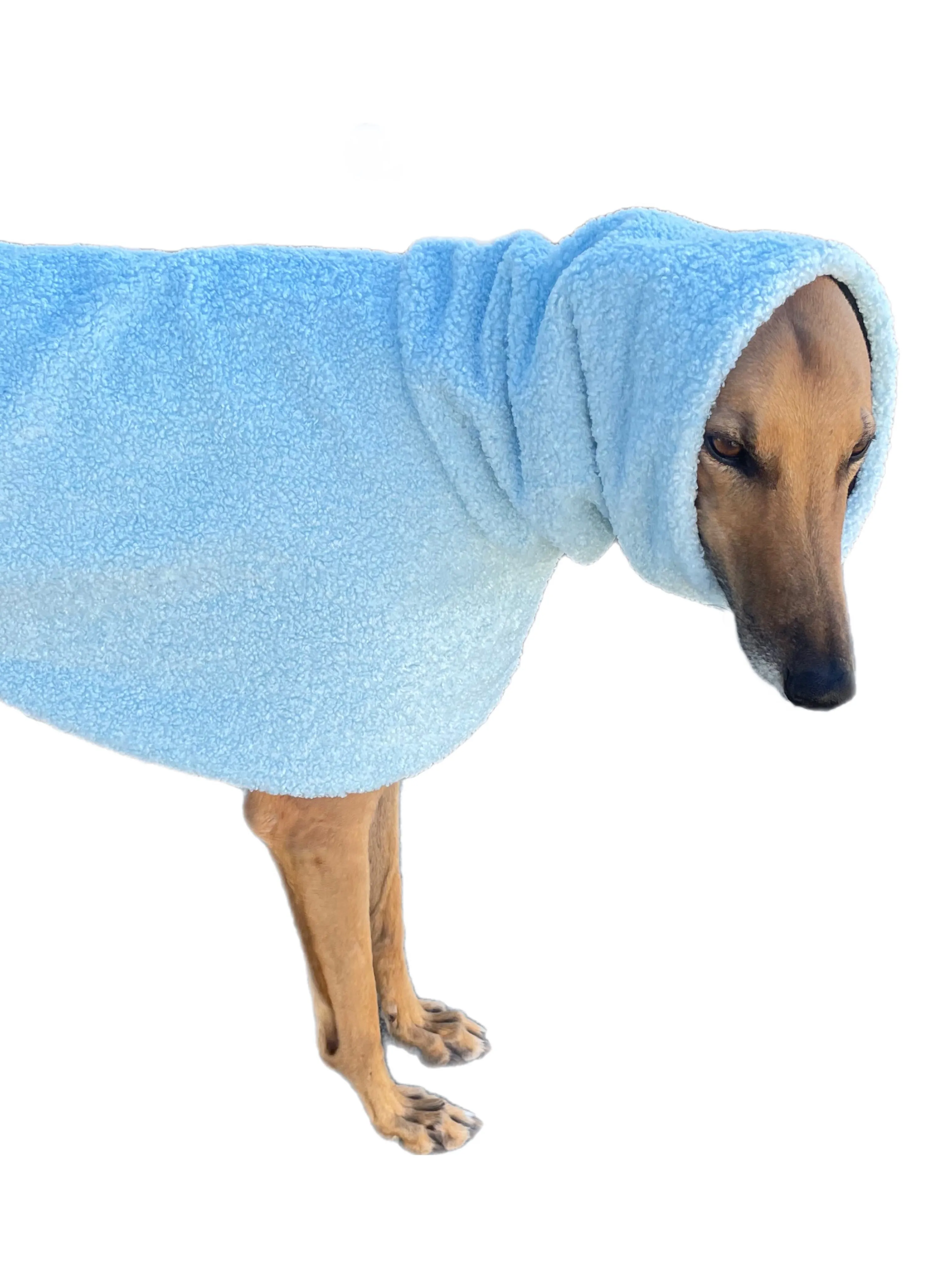 Ice blue Teddy fleece extra thick deluxe style greyhound coat with snuggly wide neck roll