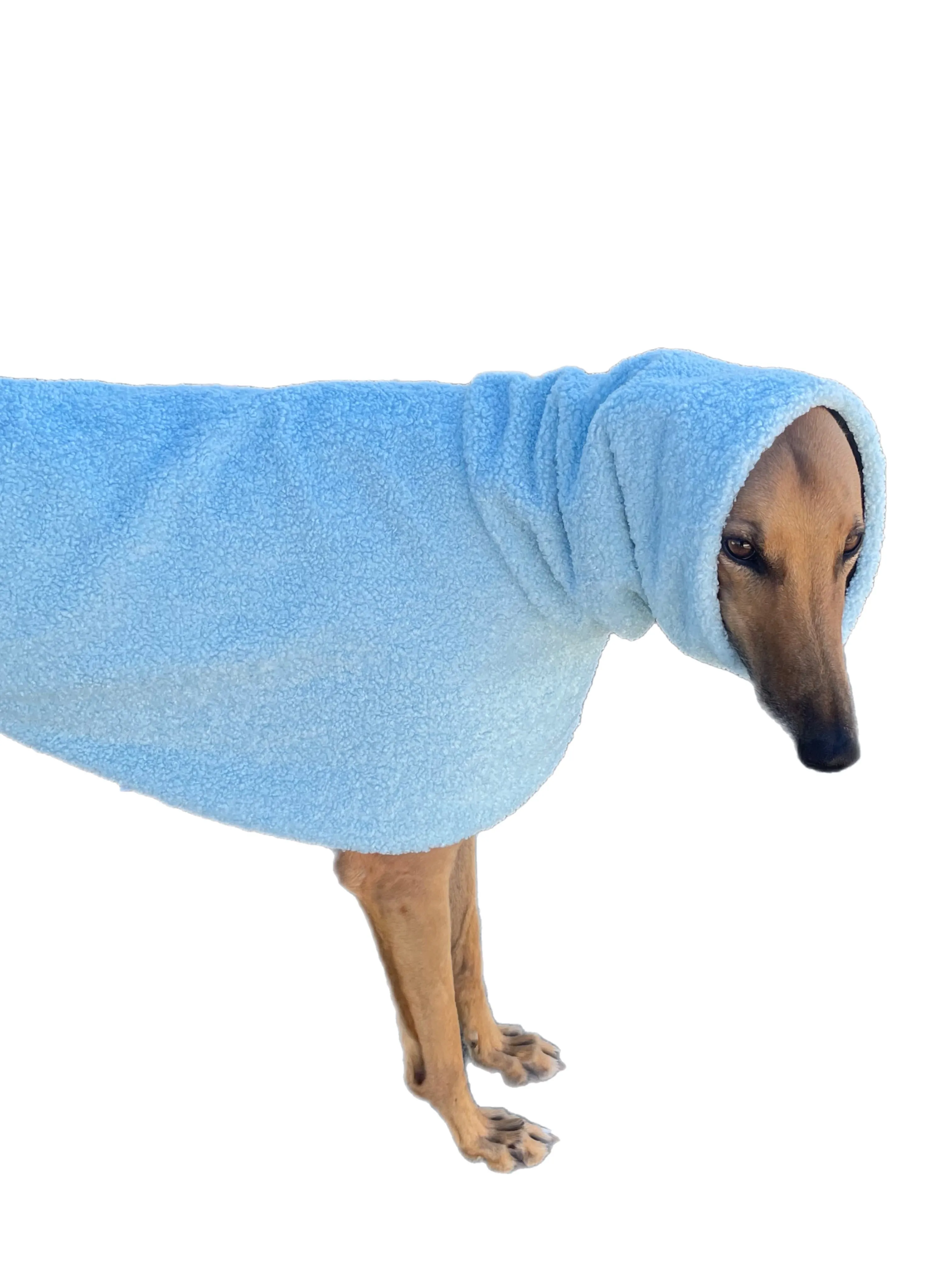 Ice blue Teddy fleece extra thick deluxe style greyhound coat with snuggly wide neck roll