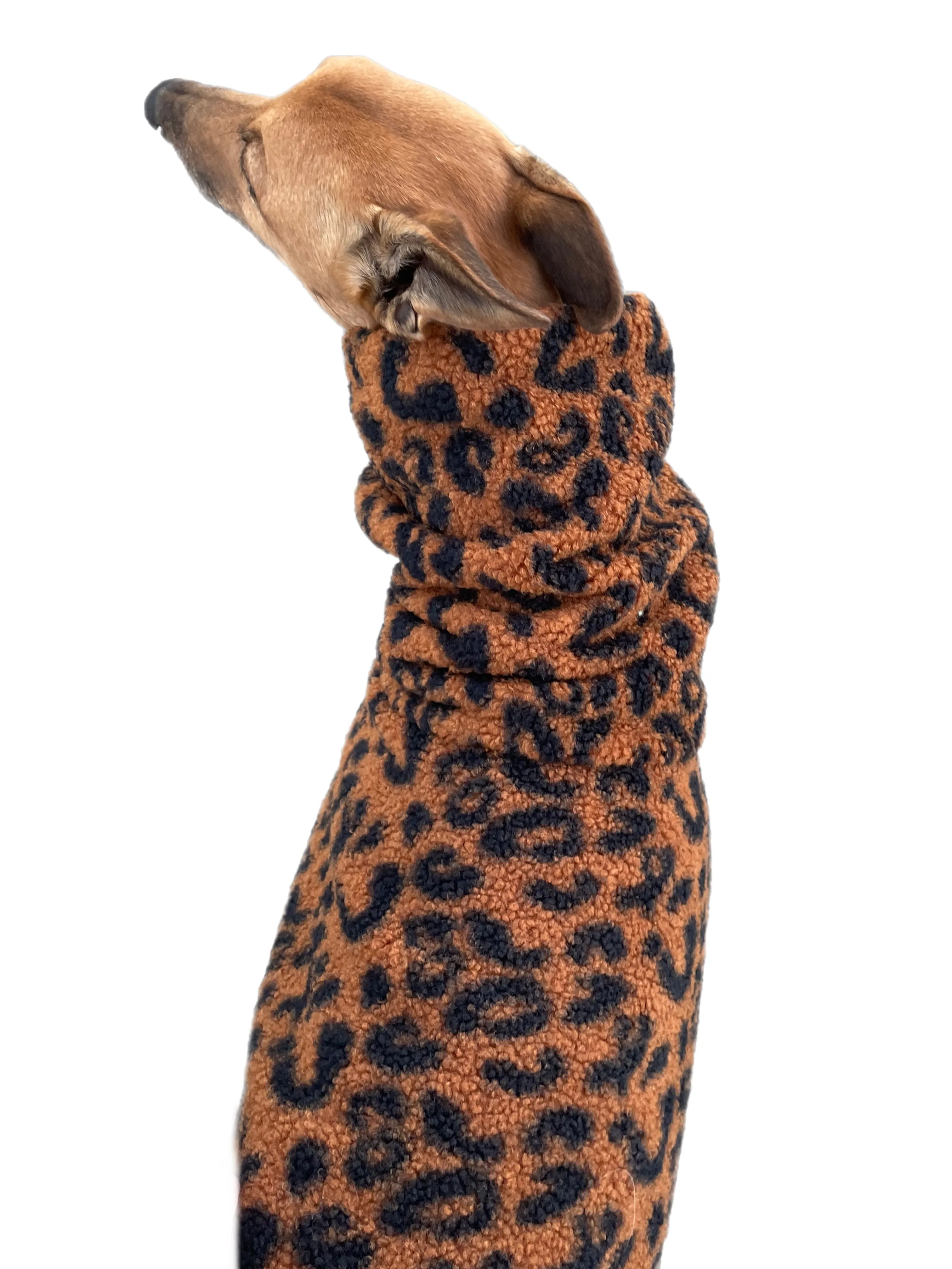 Leopard print Teddy fleece deluxe style greyhound coat with snuggly wide neck roll