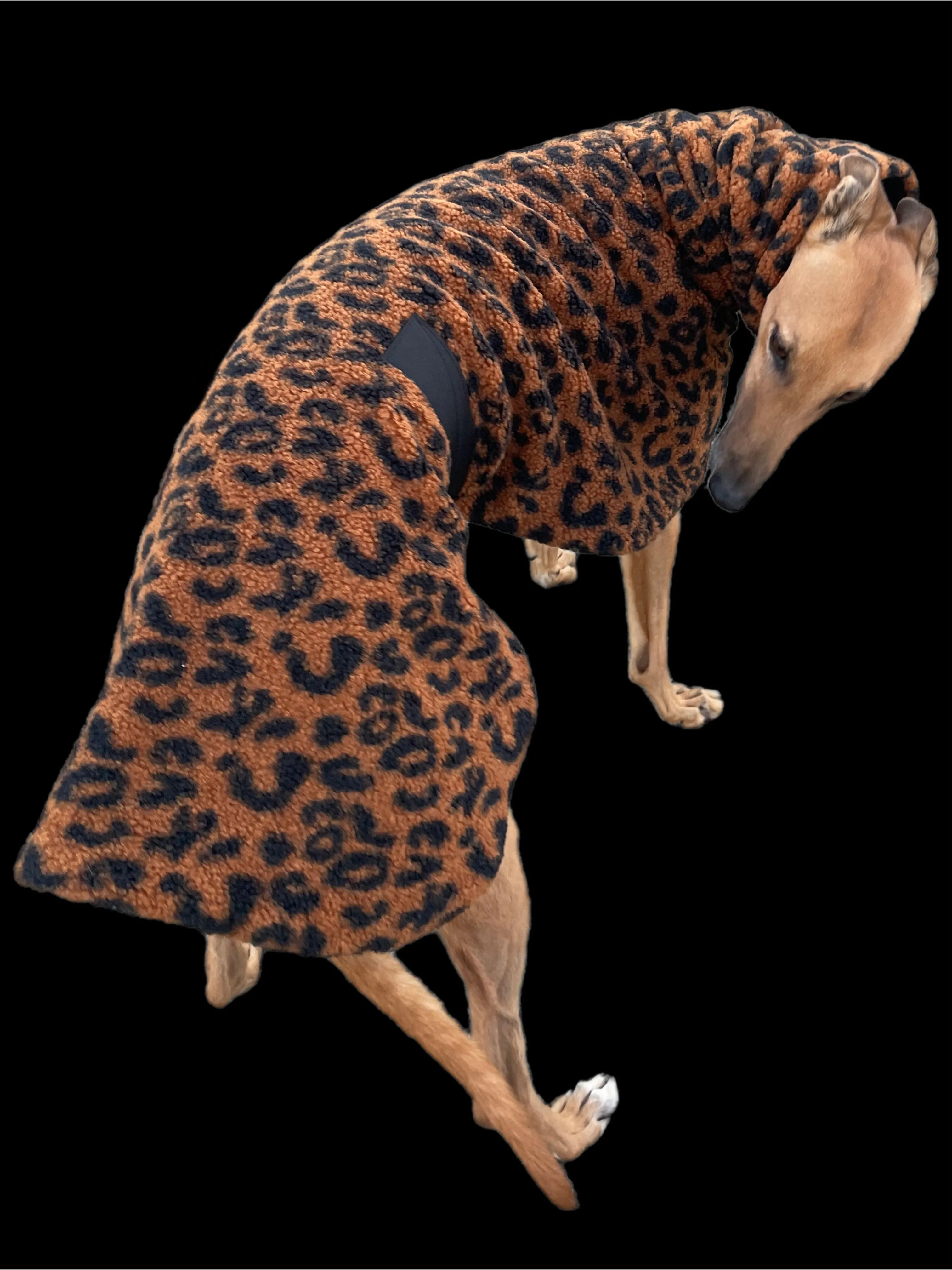 Leopard print Teddy fleece deluxe style greyhound coat with snuggly wide neck roll