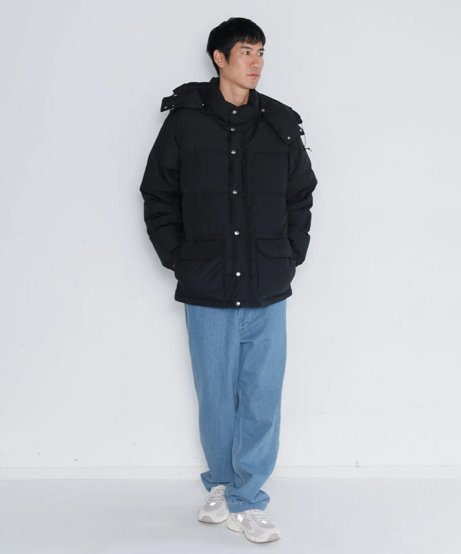 【MEN】THE NORTH FACE PURPLE LABEL 65/35 Sierra Parka