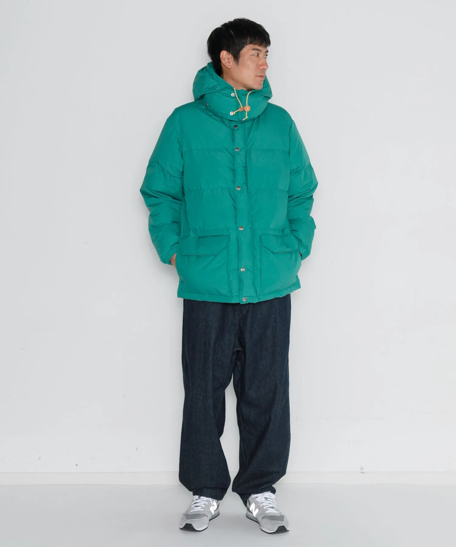 【MEN】THE NORTH FACE PURPLE LABEL 65/35 Sierra Parka