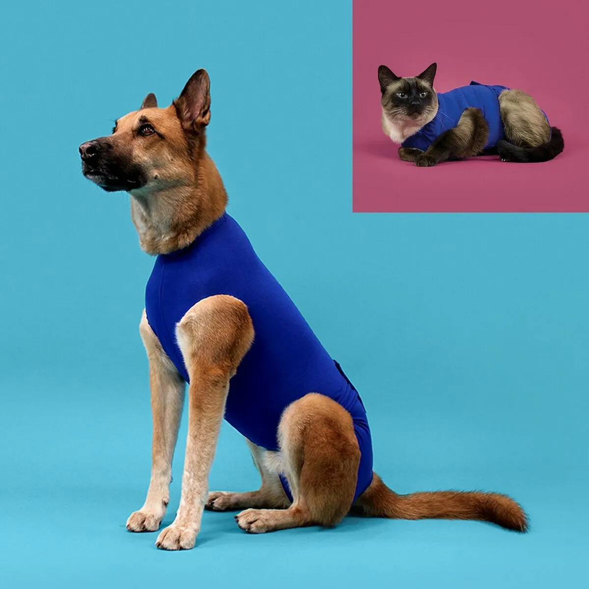 Recovery Vest for Pets KVP Blue 45-53 cm