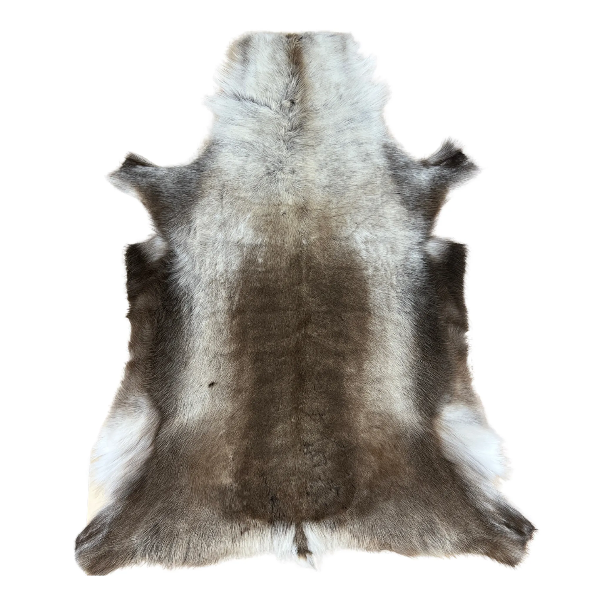 Reindeer Hide