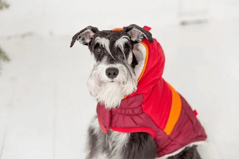 Trekking Parka - Sherpa Lined Water Resistant Dog Coat