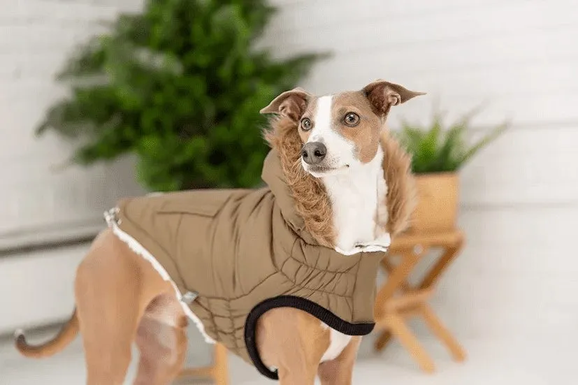 Urban Parka - Sherpa Lined Water Resistant Dog Coat